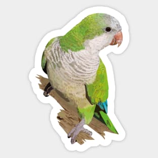 Argentine Parakeet Sticker